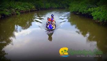 Serunya Menyusuri Hutan Mangrove Sungai Kepoh